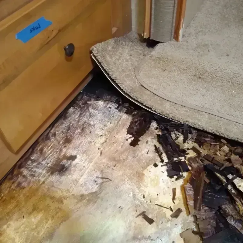 Wood Floor Water Damage in Chesapeake, WV